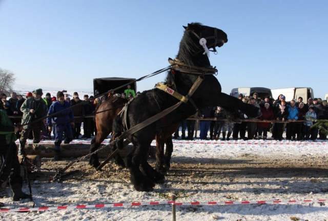 Francisti Ján  ml- - ťažký ťah